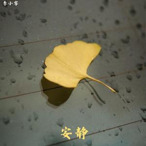 吹风 (Blowing Wind)