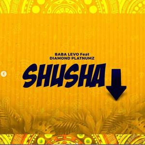 Shusha (feat. Diamond Platnumz & Baba Levo)
