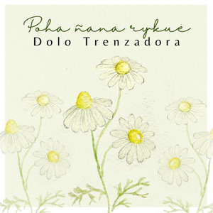 Terekua / Qué Hacer