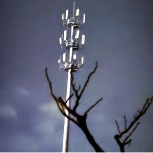 向死而生，相似而生