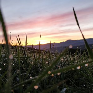 Wings of Dawn（黎明之翼）