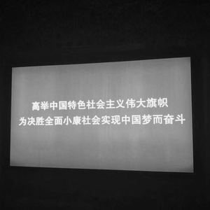 后来 COVER：刘若英