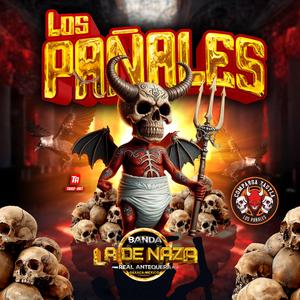 Los Pañales