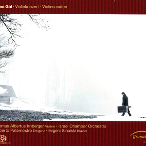 Violin Sonata in B-Flat Minor, Op. 17: III. Adagio molto espressivo - animato, quasi andante con moto