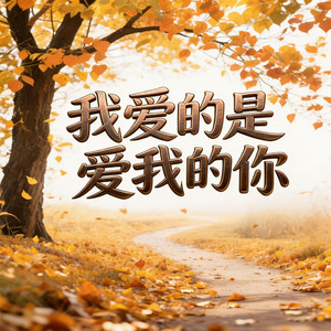 我爱的是爱我的你