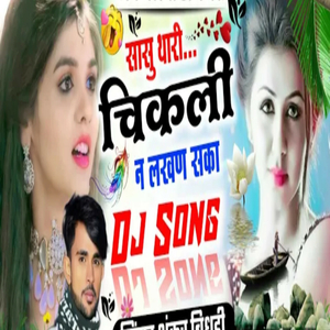 थारी चिकली न लखण सका