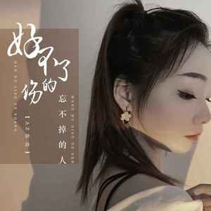 好不了的伤忘不掉的人 (DJ彭锐版)