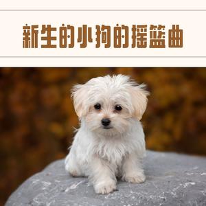 小狗的摇篮曲