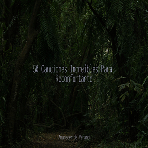 Recuerdos Impregnados