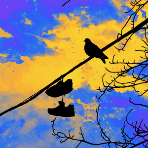 Черное, белое