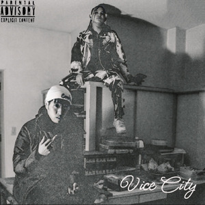 Vice City (feat. 駕樹子)