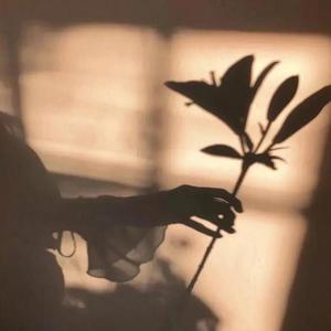 嘉宾（翻自 张远）