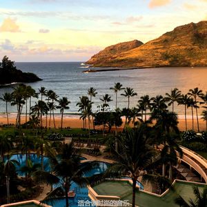 正在学习愉悦的轻音乐