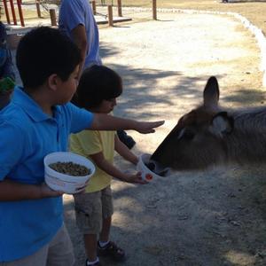 goodbyes but its bad