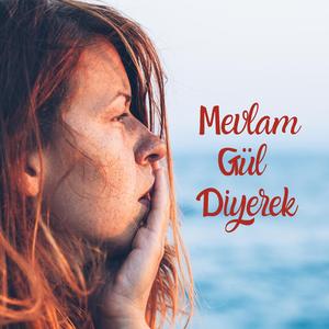 Mevlam Gül Diyerek