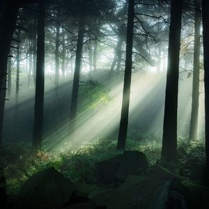 钢琴白噪音里的入眠序曲