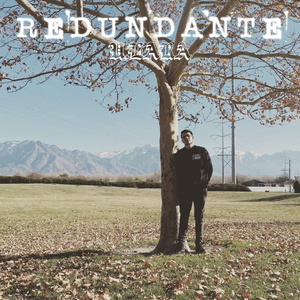 Redundante