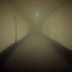 saviour in the backrooms