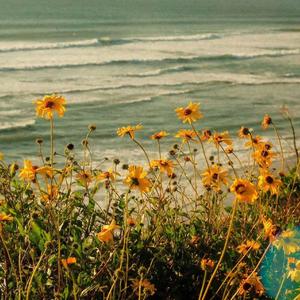 挥着翅膀的女孩（治愈版）