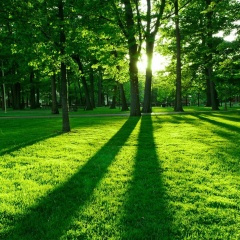 慷慨激昂的背景音乐 有磨练 励志 成功等音乐气氛