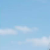 视历开书时的静思晨曦