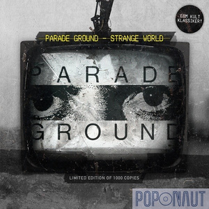 A Day at the Park (live)