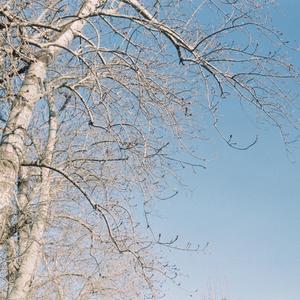 死ぬにはいい日だった