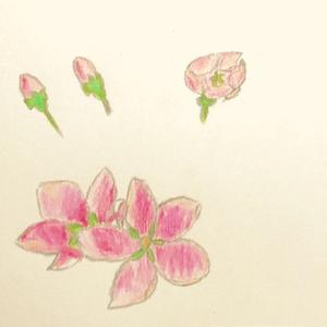 送你一朵小红花（女生版）（翻自 赵英俊）