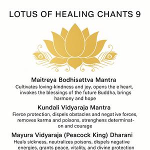 Kundali Vidyaraja Mantra (军荼明王心咒)