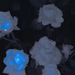 这个世界不会好.MP3