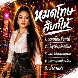 หมดโทษสิยกให้, เชิญไปรักกันให้พอ, อย่างอ้ายบ่เคยพอ, บ่ตายดอกย้อนอ้าย, น้ำตาแห้ง