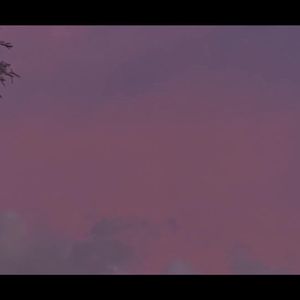 【AI心华】快说你爱我