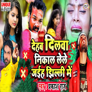 Dehab Dilwa Nikal Lele Jaiha Jhilli Me