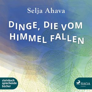 Dinge, die vom Himmel fallen, Kapitel 17