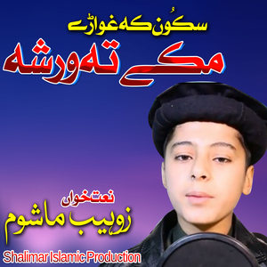 Doomi Hanzala Patekigi