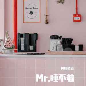 Mr.睡不着（翻自 7JZ）