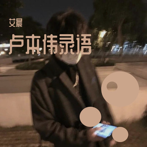 卢本伟录语