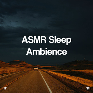 호우 잠