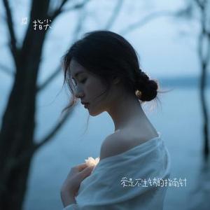 爱是不生锈的指南针