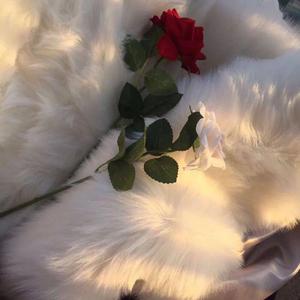 靠近（cover：袁娅维）