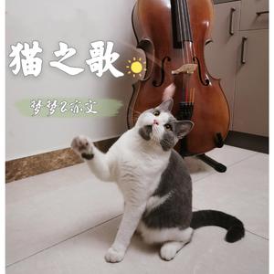 猫之歌