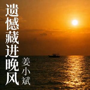 遗憾藏进晚风