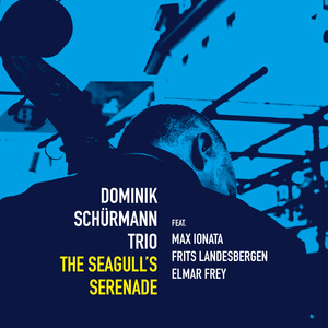 The Seagull’s Serenade