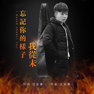 我从未忘记你的样子