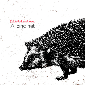 Alleine mit (Single Edit)