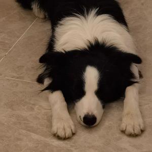 曲终人散（cover张宇）