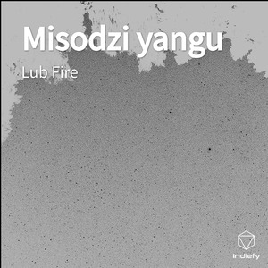 Misodzi yangu