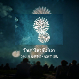 รักเท่าไหร่ก็ไม่เอา（多少的爱都不要）越南鼓dj版