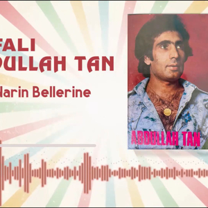 Ince narin bellerine