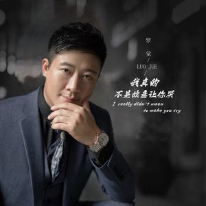 我真的不是故意让你哭唱 伴奏